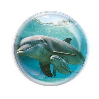 Obrázek z Magnet kulatý 5cm - delfín (12) 
